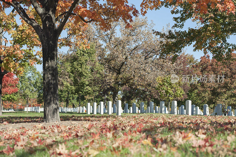 阿灵顿国家公墓五颜六色的树木