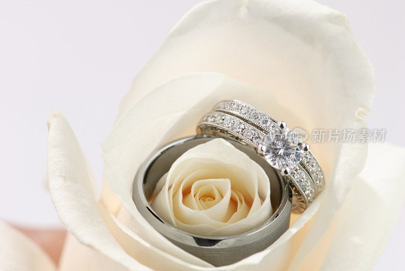 白玫瑰中的结婚戒指