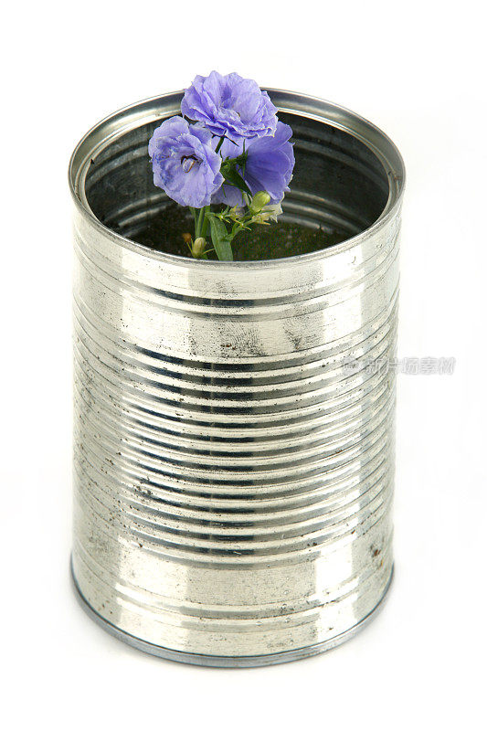 罐头中的花