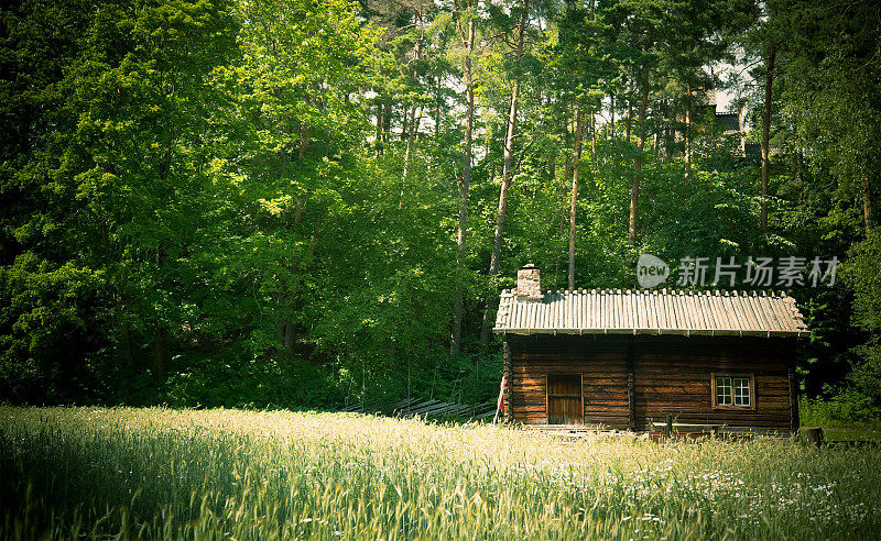 挪威森林中的木屋