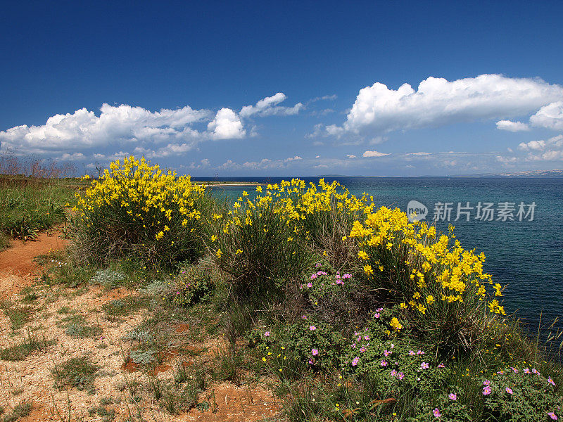 田园诗般的亚得里亚海