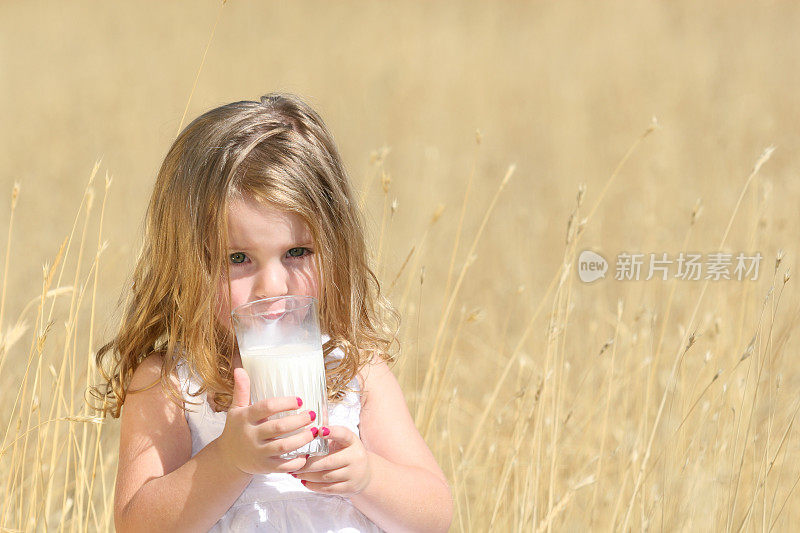 小女孩在麦田里喝着一杯牛奶
