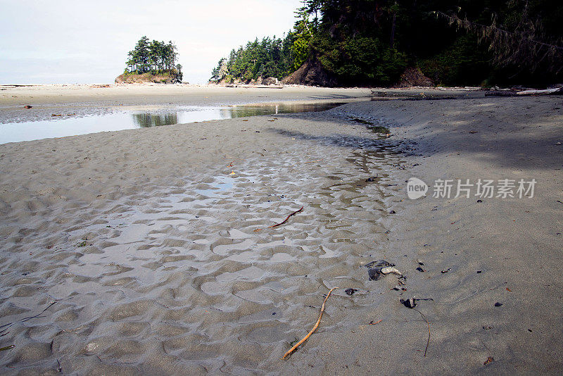 华盛顿海滩