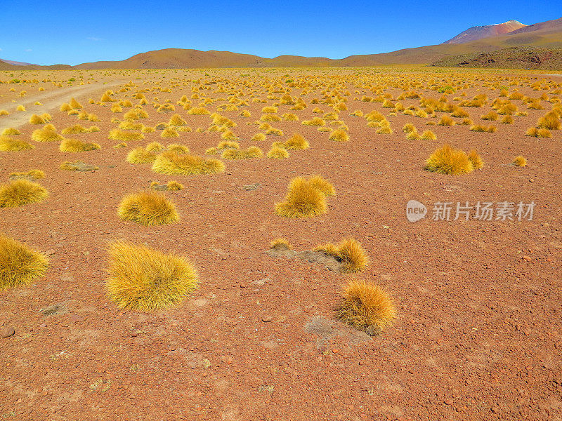 安第斯山脉的景观