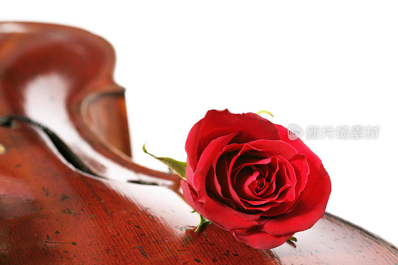 红玫瑰和大提琴