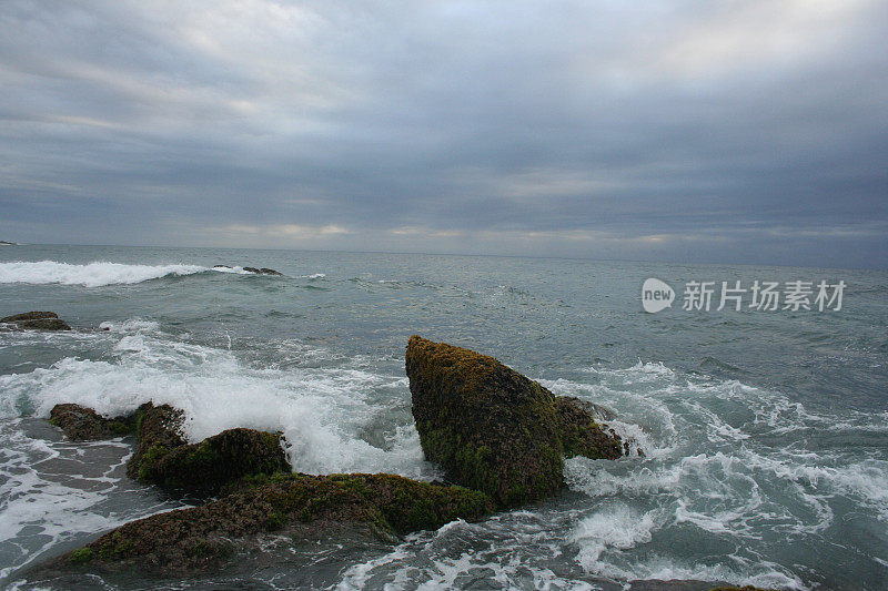 野生的海岸