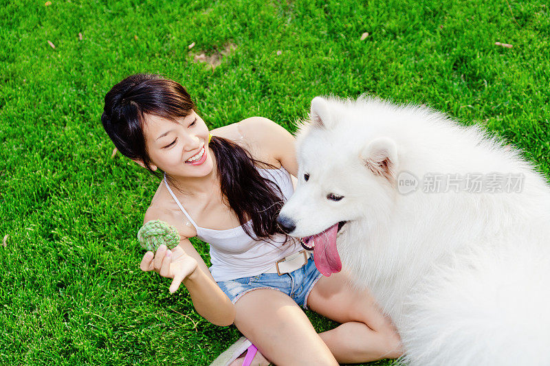 女孩和她的萨摩耶狗在草地上玩