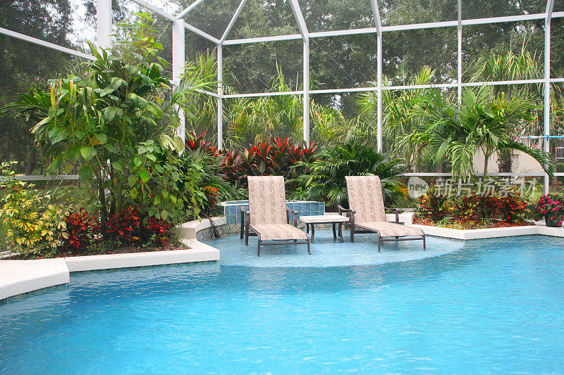 热带地区的游泳池