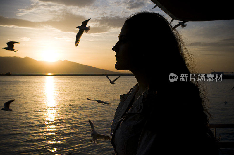 有海鸥的风景……