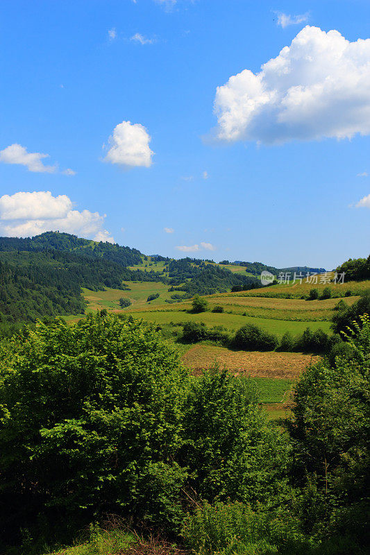 夏天在山脉。Pieniny,斯洛伐克。