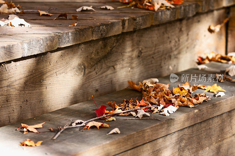 木制台阶上干燥的秋叶