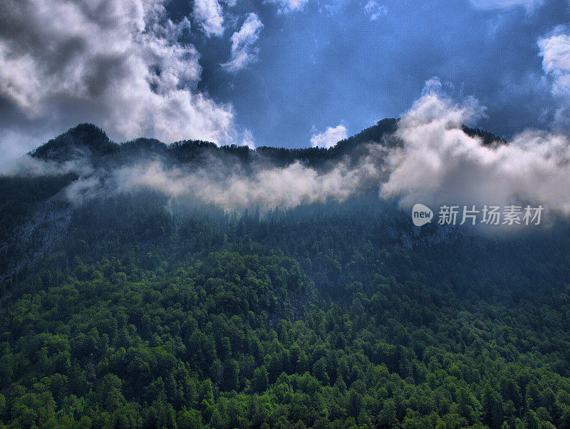 阿尔卑斯山脉