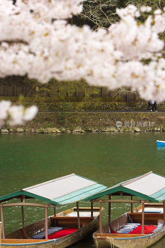 日本京都的岚山公园