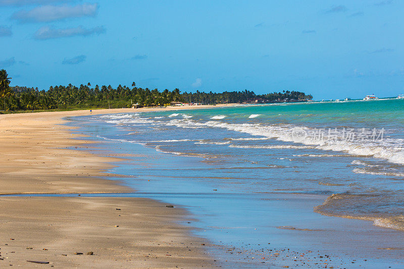 巴西阿拉格斯州的贾帕廷加海滩