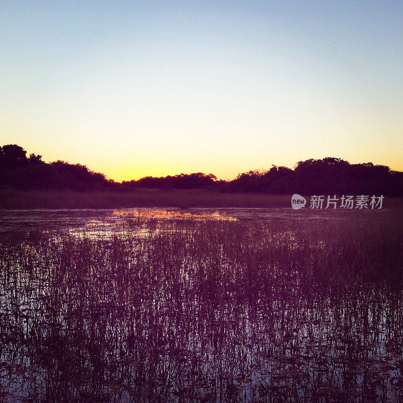 风景秀丽的日落大沼泽地国家公园景观美国佛罗里达州