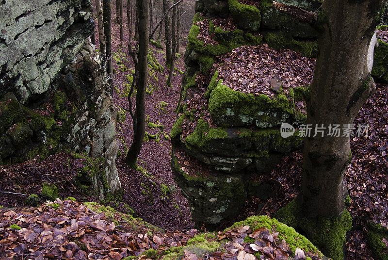 位于艾菲尔国家公园南部的Teufelsschlucht峡谷的岩石