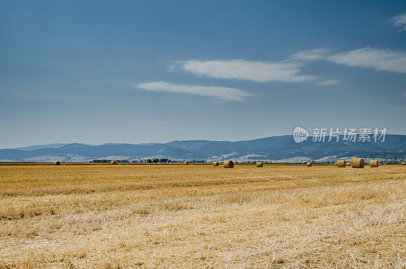 夏日美景