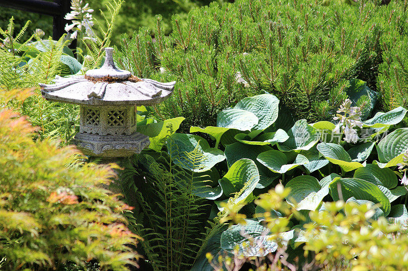 花岗映照日本园林中的花灯、玉簪、松树