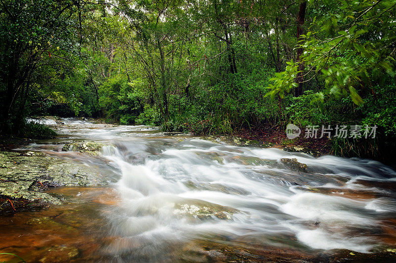 椽将小溪溪