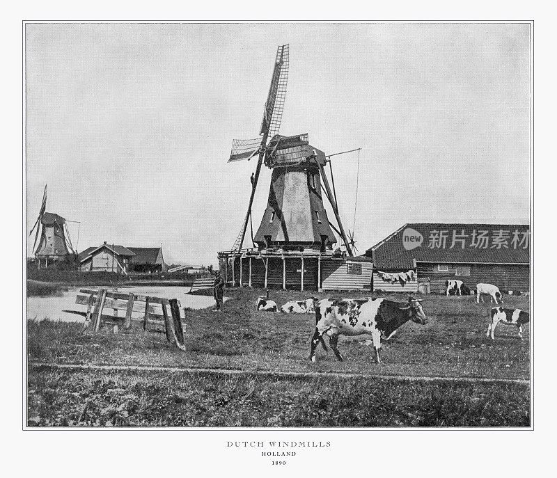 荷兰风车，荷兰，古董荷兰照片，1893