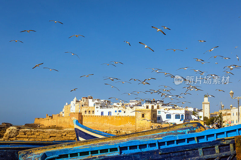 在非洲摩洛哥，一群海鸥飞过渔村、渔船