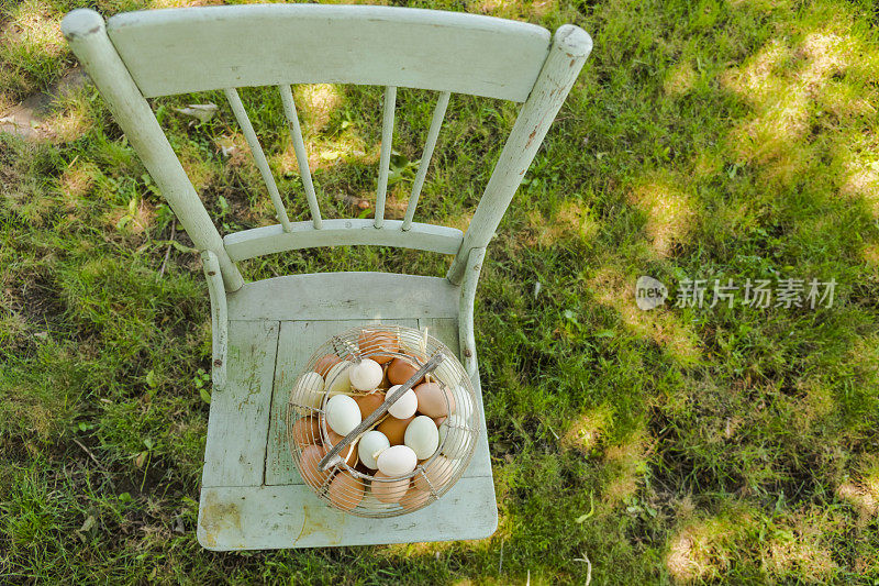 在旧椅子上的铁丝鸡蛋筐里自由奔跑的鸡蛋