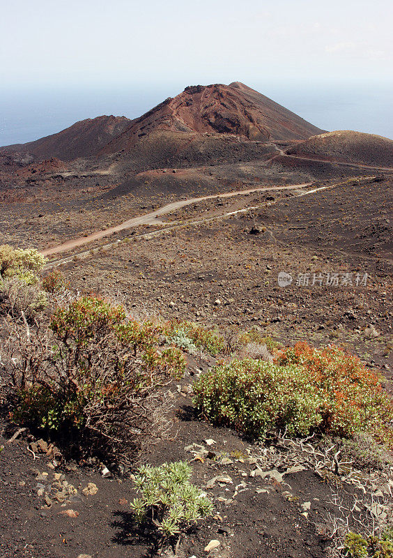 Teneguia火山