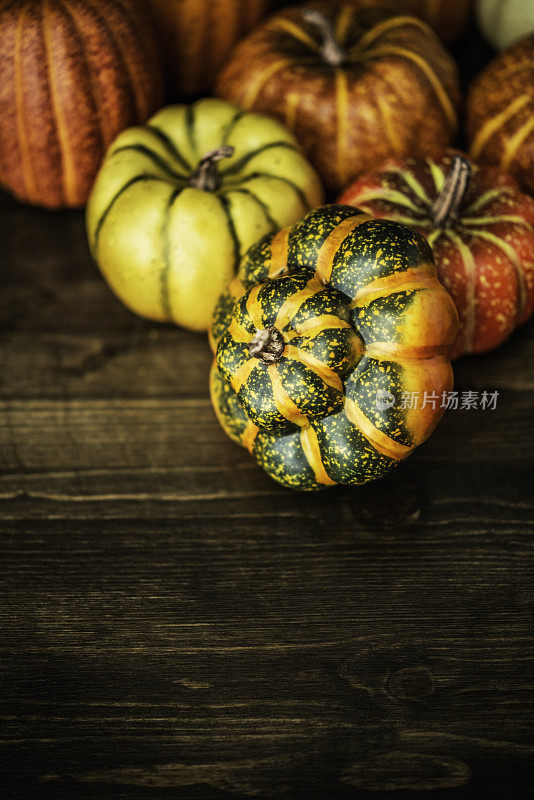 秋天和感恩节的装饰。南瓜品种在乡村木材上。