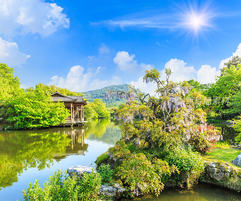 美丽的杭州西湖花园，中国的夏天