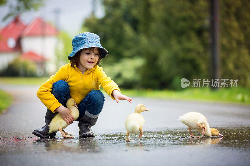 美丽的孩子，和小鸭子在雨中玩耍，夏天的时光