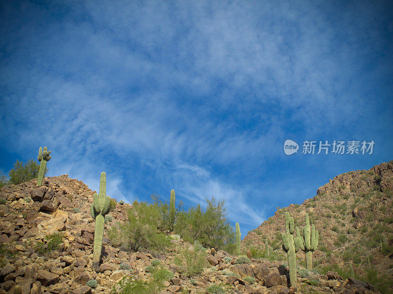 亚利桑那州公路旅游景点