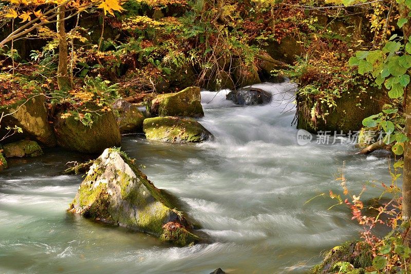 日本青森市秋天的磐濑山溪