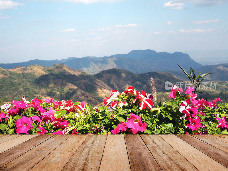桌面之上，鲜花之上，高山背景
