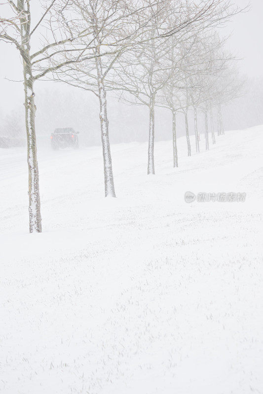 雪正在下降