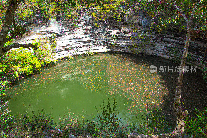 圣井，奇琴伊察的圣水洞。尤卡坦半岛,墨西哥