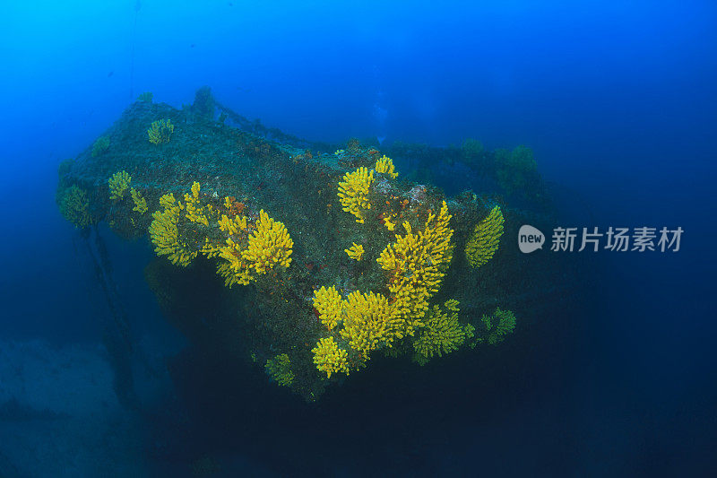 技术潜水水肺潜水员探索和享受沉船潜水海上生活水上运动技术潜水水肺潜水员的观点