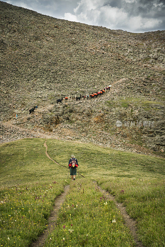 一个徒步旅行者跟着一群美洲驼爬上了一座落基山脉