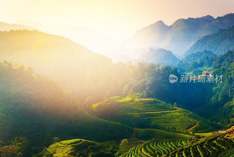 泰国北部的山景，日出和薄雾