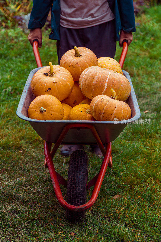 Pumpking在手推车