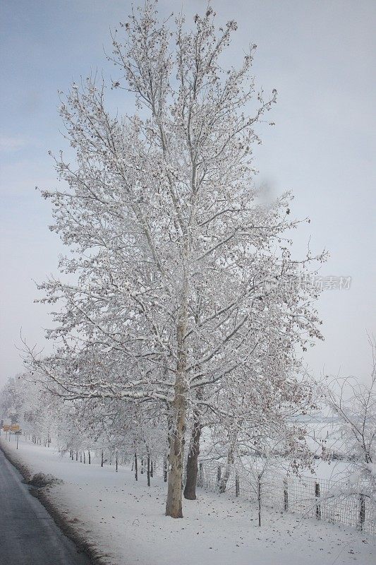 冬天雪风景画