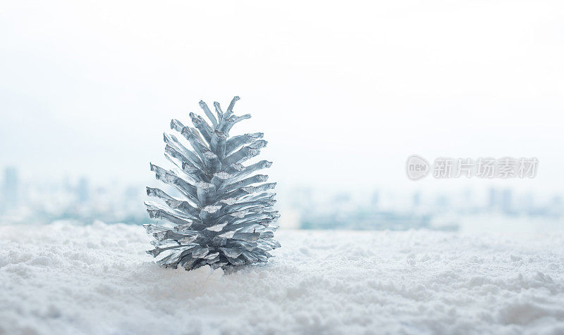 冬季，圣诞概念的创意与银松果和雪