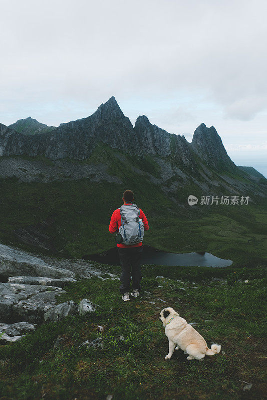 人们和狗在挪威北部的山上徒步旅行