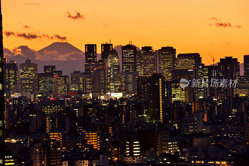 富士山和东京的天际线:白天和黑夜