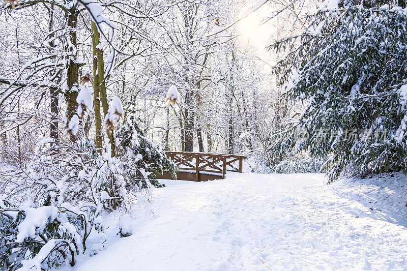 开姆尼茨城市公园清晨的冬日印象