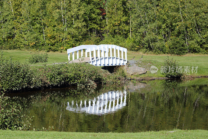 公园里的小木桥