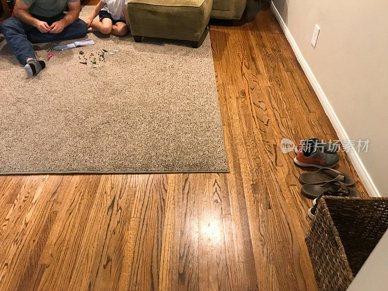 父亲和儿子在客厅的地板上建造和玩耍