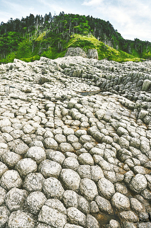 岩石海岸，火山岩层，国后岛，斯托尔布查蒂角