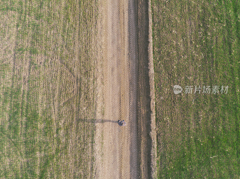 英俊的成年农民走在土路上穿过他的小麦苗田在早春。鸟瞰图。