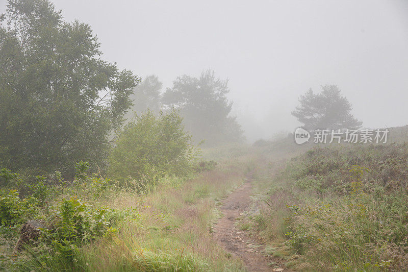 雾中的山丘和道路