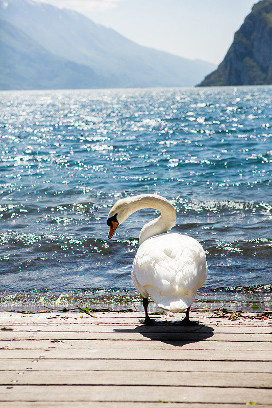 欧洲意大利加尔达湖的夏日美景。美丽的湖景